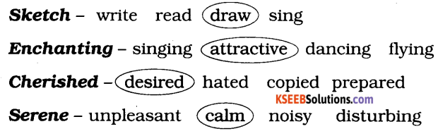 KSEEB Solutions for Class 4 English Chapter 5 Hobbies 12