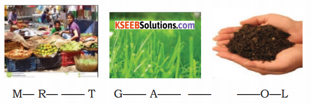 KSEEB Solutions for Class 4 English Chapter 6 Farming 29
