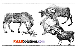 KSEEB Solutions for Class 4 English Chapter 6 Farming 40