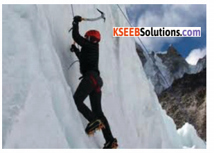 KSEEB Solutions for Class 4 English Chapter 9 Adventure 803