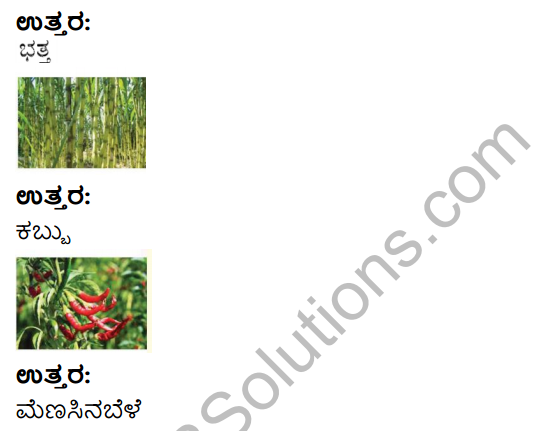 Savi Kannada Text Book Class 4 Solutions Chapter 4 Male Poem 11