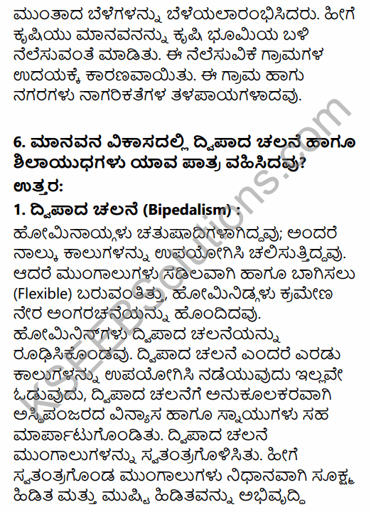 1st PUC History Question Bank Chapter 2 The Story of Human Evolution in Kannada 20