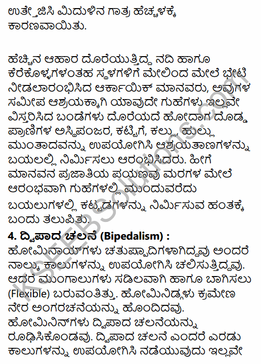 1st PUC History Question Bank Chapter 2 The Story of Human Evolution in Kannada 28