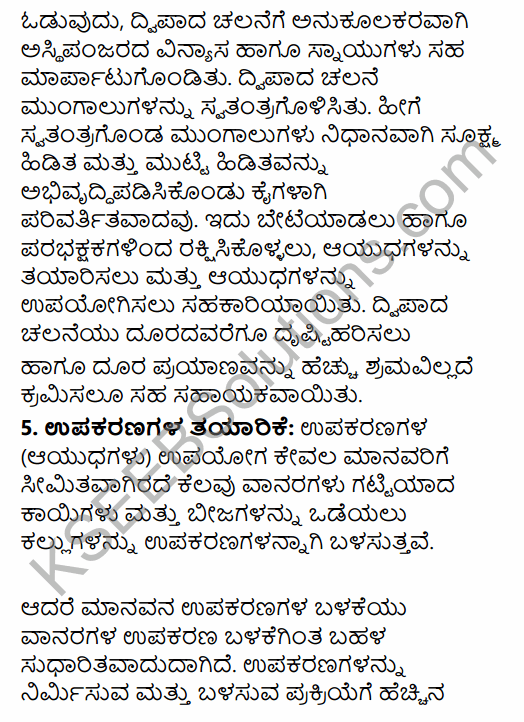 1st PUC History Question Bank Chapter 2 The Story of Human Evolution in Kannada 29