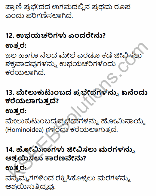 1st PUC History Question Bank Chapter 2 The Story of Human Evolution in Kannada 4
