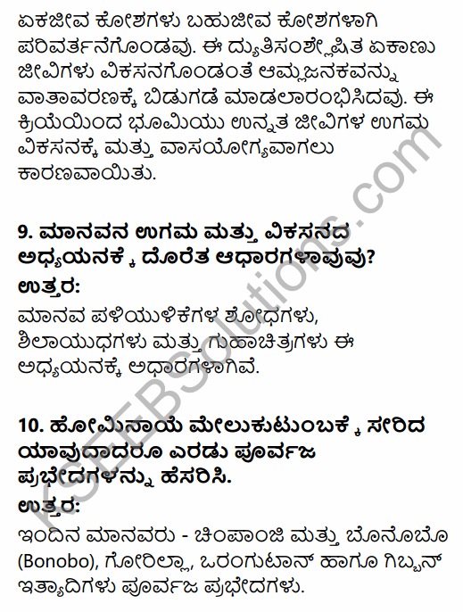 1st PUC History Question Bank Chapter 2 The Story of Human Evolution in Kannada 9