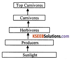 KSEEB Class 10 Science Important Questions Chapter 15 Our Environment 9