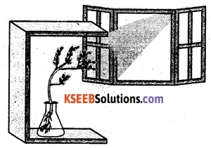 KSEEB Class 10 Science Important Questions Chapter 7 Control and Coordination 4
