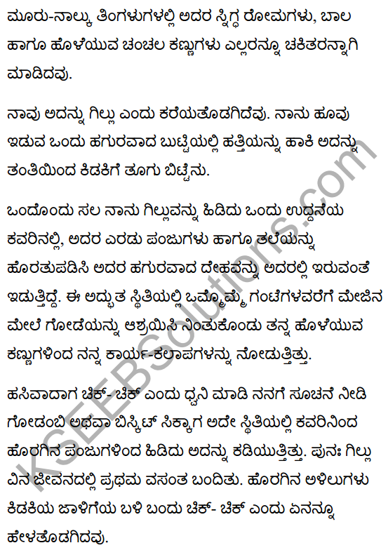 गिल्लू Lesson Summary in Kannada 3