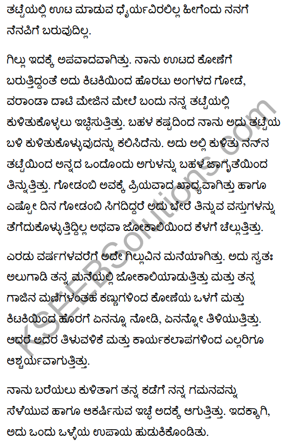 गिल्लू Summary in Kannada 5