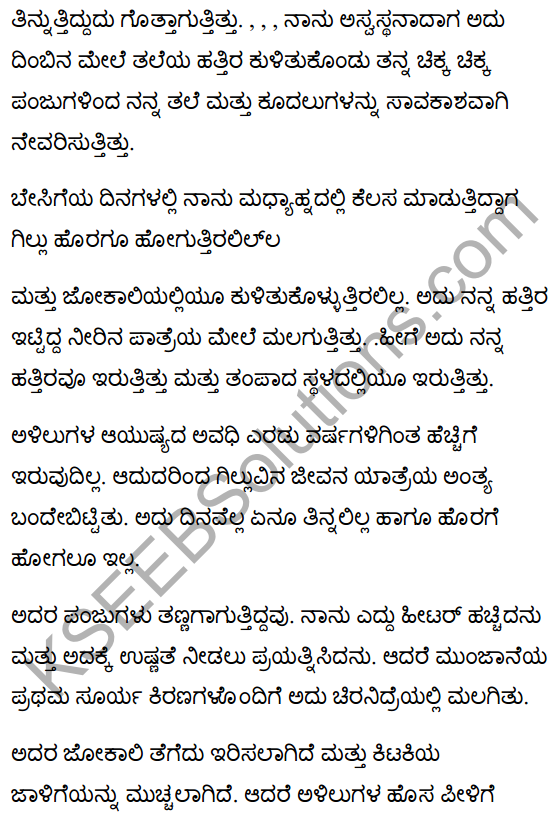 गिल्लू Summary in Kannada 10th Class Hindi