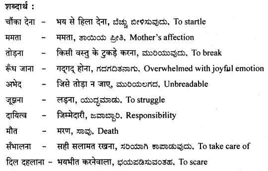 मेरा देश, मेरी माँ Summary in Kannada 3
