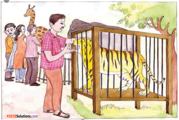 A Tiger in the House Lesson Summary in English 