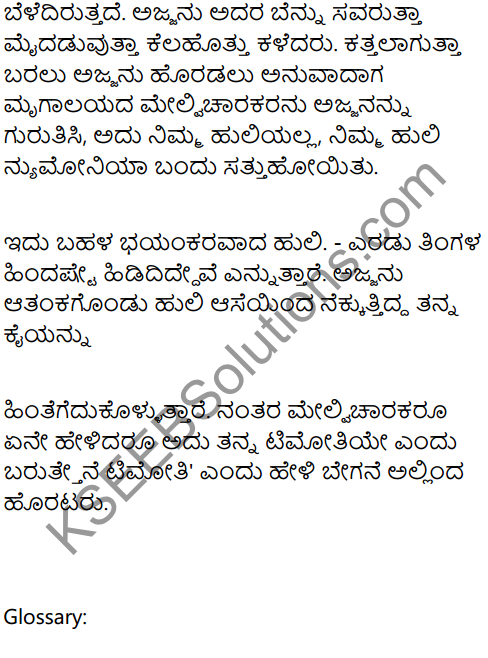 A Tiger in the House lesson Summary in Kannada 