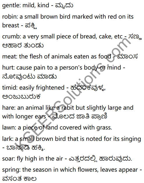 6th Standard English Poem Kindness To Animals KSEEB
