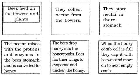 How Do Bees Make Honey Questions And Answers KSEEB Class 6