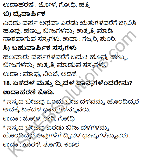 KSEEB Solutions for Class 5 EVS Chapter 1 Living World in Kannada 12