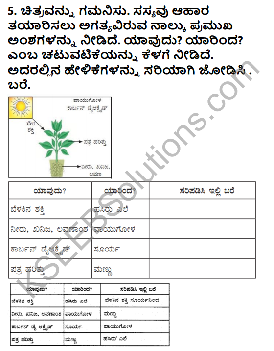 KSEEB Solutions for Class 5 EVS Chapter 1 Living World in Kannada 4