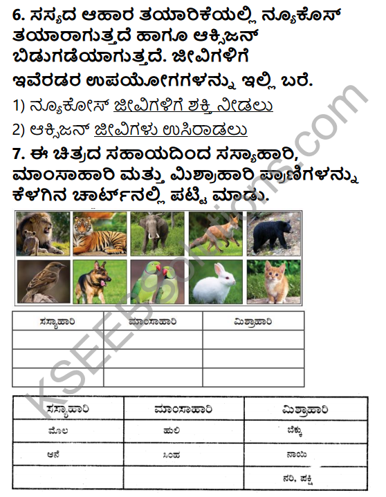KSEEB Solutions for Class 5 EVS Chapter 1 Living World in Kannada 5