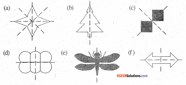 KSEEB Solutions for Class 6 Maths Chapter 13 Symmetry Ex 13.3 252