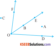 KSEEB Solutions for Class 6 Maths Chapter 4 Basic Geometrical Ideas Ex 4.3 2
