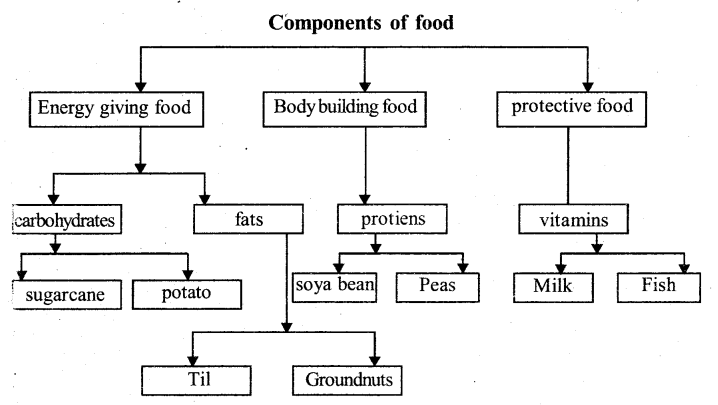 KSEEB Solutions for Class 6 Science Chapter 2 Components of Food 1