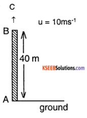 1st PUC Physics Question Bank Chapter 3 Motion in a Straight Line img 44