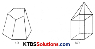 KSEEB Solutions for Class 8 Maths Chapter 10 Visualizing Solid Shapes Ex 10.3 Q6