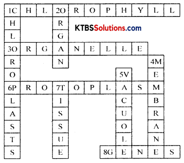 KSEEB Solutions for Class 8 Science Chapter 11 Cell Structure and Functions Q10.1