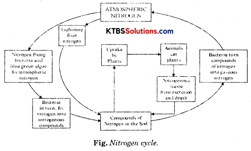 KSEEB Solutions for Class 8 Science Chapter 2 Microorganisms Friend and Foe Addl Q37