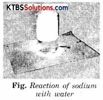 KSEEB Solutions for Class 8 Science Chapter 4 Materials Metals and Non-Metals Activity 5