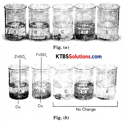 KSEEB Solutions for Class 8 Science Chapter 4 Materials Metals and Non-Metals Activity 8