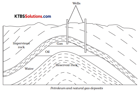 KSEEB Solutions for Class 8 Science Chapter 5 Coal and Petroleum Addl Q13