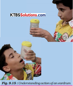KSEEB Solutions for Class 8 Science Chapter 9 Sound Activity 8